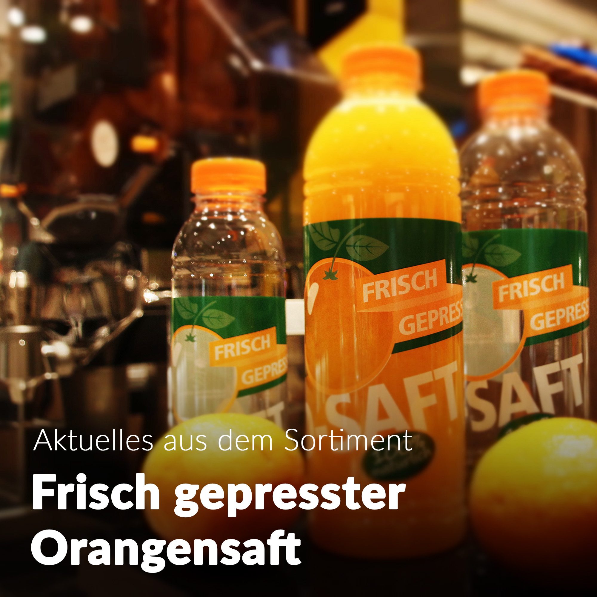 Vereinskarte Marktkauf Oschatz